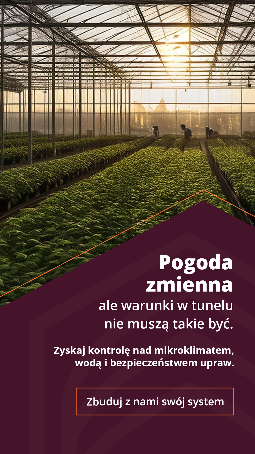 Obszar kompozycji 2 kopia